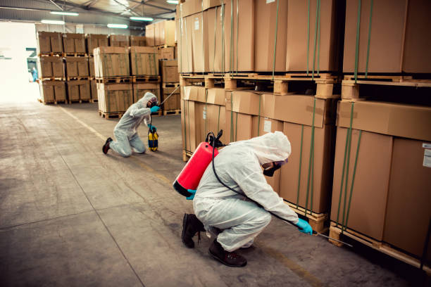 Best Bed Bug Extermination  in Pawtucket, RI