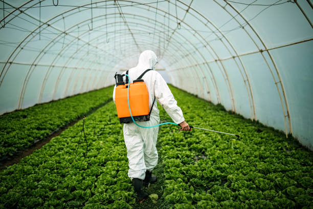 Best Pest Prevention Services  in Pawtucket, RI