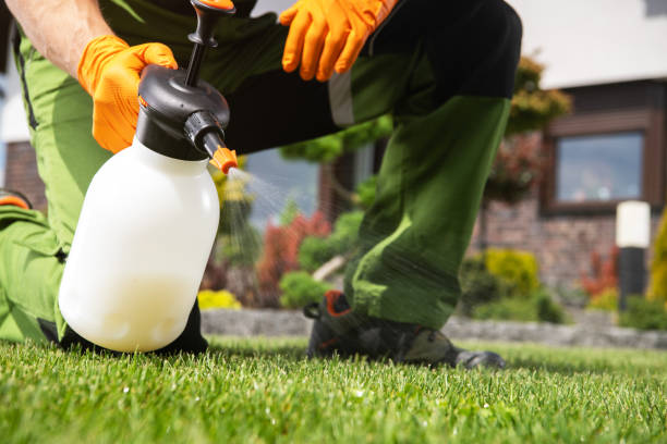 Best Bed Bug Extermination  in Pawtucket, RI