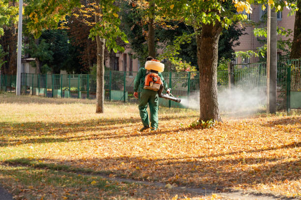 Best Affordable Pest Control Services  in Pawtucket, RI