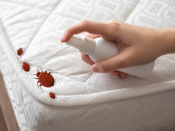 Best Emergency Pest Control  in Pawtucket, RI